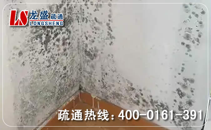 罗湖区除菌除霉味